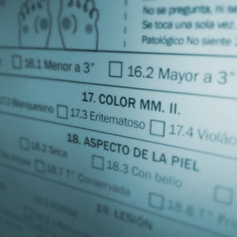 MIEMBROS INFERIORES